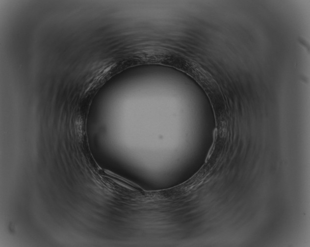 X0000092331108200710051310