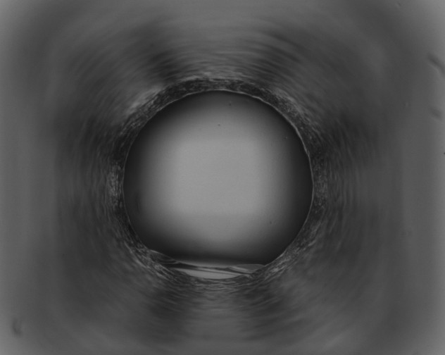 X0000092331110200710051310