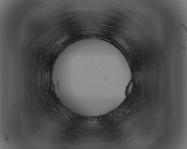 X0000092331111200710051310