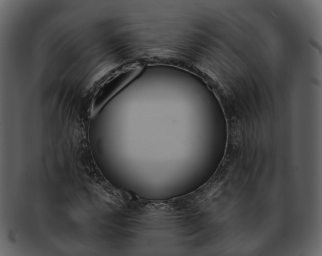 X0000092331112200710051310