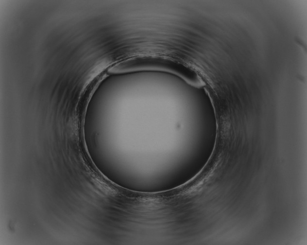 X0000092331114200710051310