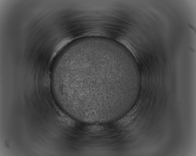 X0000092331115200710051310