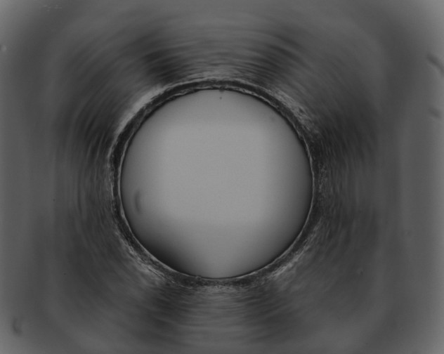 X0000092331118200710051310