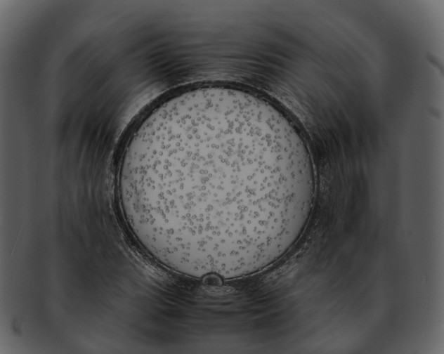 X0000092331119200710051310