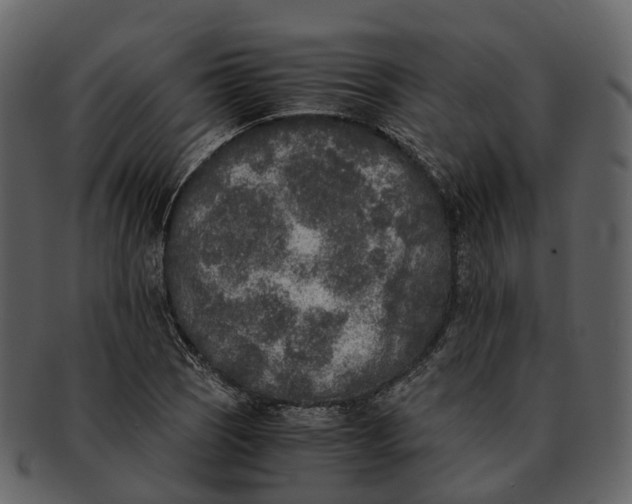 X0000092331121200710051310