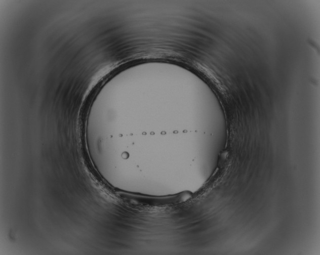 X0000092331122200710051310