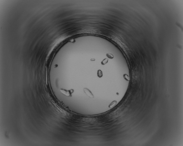 X0000092331123200710051310