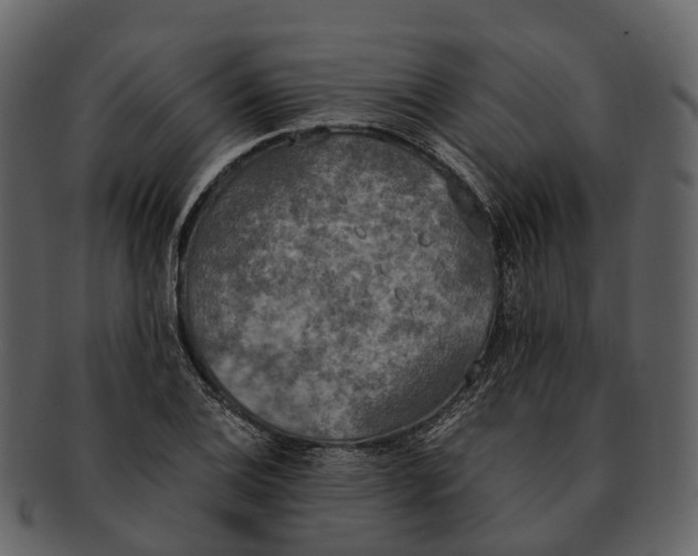 X0000092331124200710051310