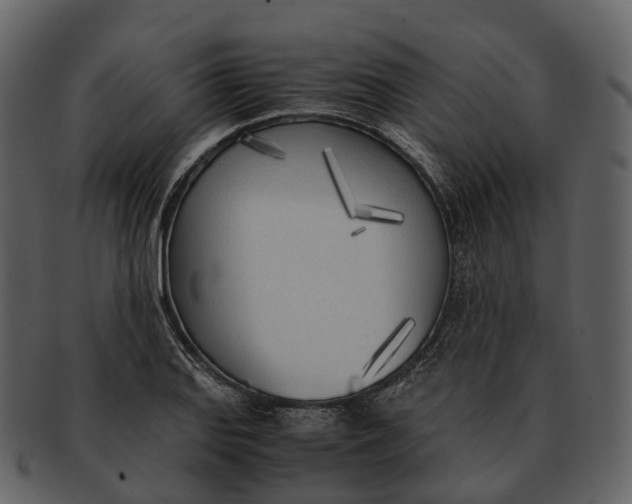 X0000092331127200710051310
