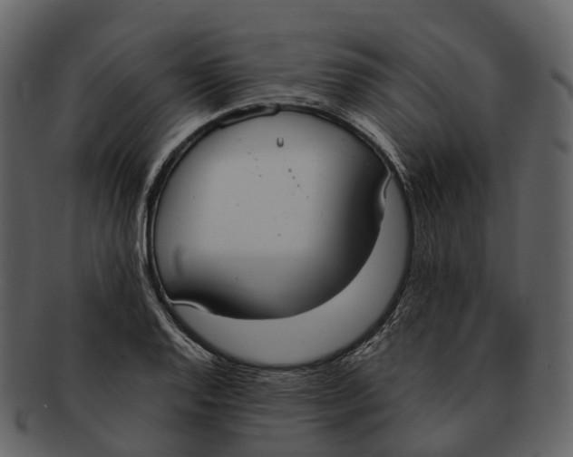 X0000092331128200710051310