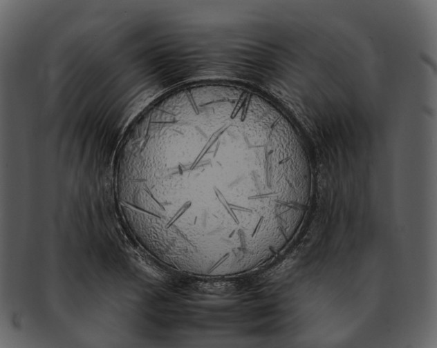 X0000092331129200710051310