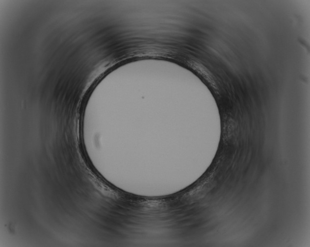 X0000092331130200710051310