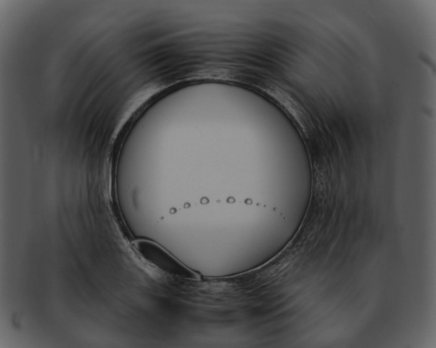 X0000092331131200710051310