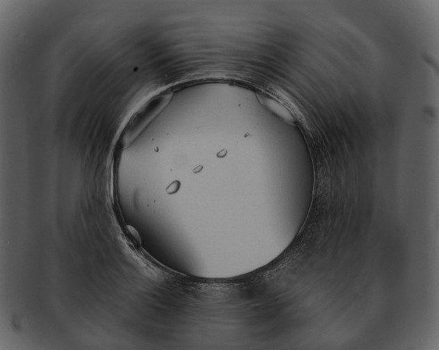 X0000092331132200710051310