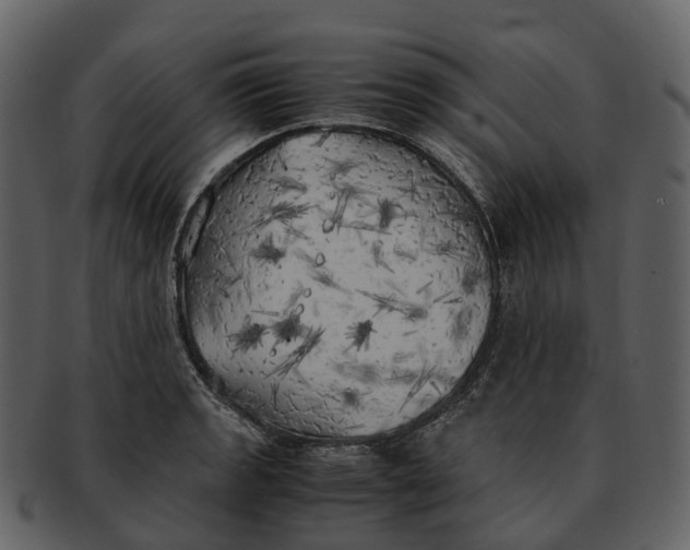 X0000092331133200710051310