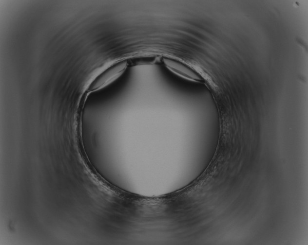 X0000092331134200710051310