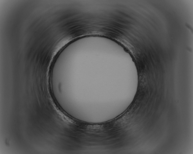 X0000092331135200710051310