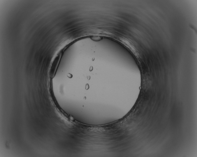X0000092331136200710051310