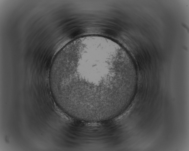 X0000092331137200710051310