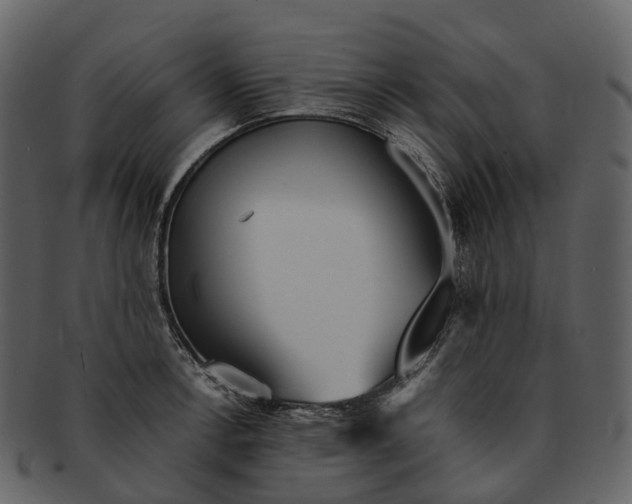 X0000092331138200710051310