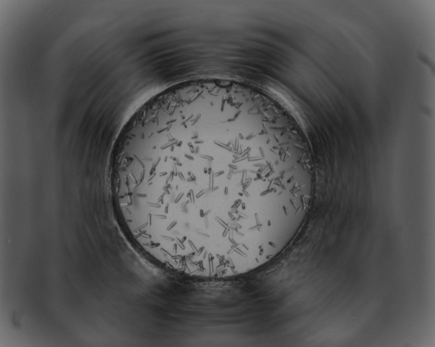 X0000092331141200710051310