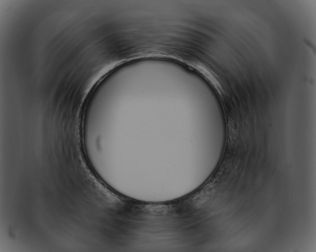 X0000092331142200710051310