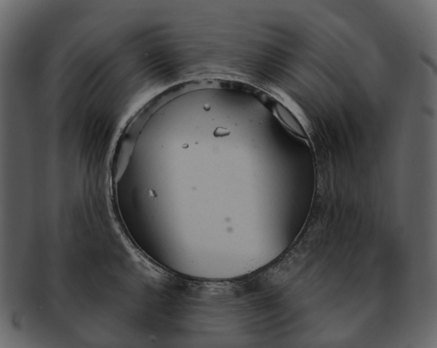 X0000092331144200710051310