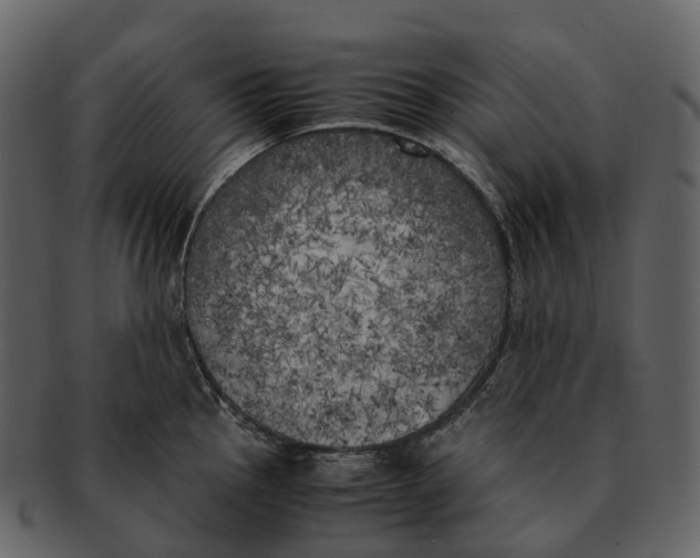 X0000092331145200710051310