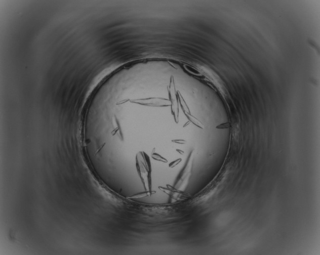 X0000092331149200710051310