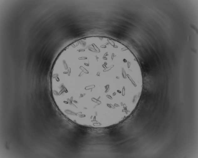 X0000092331150200710051310
