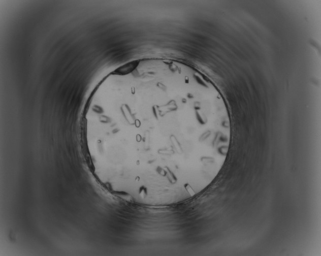 X0000092331152200710051310