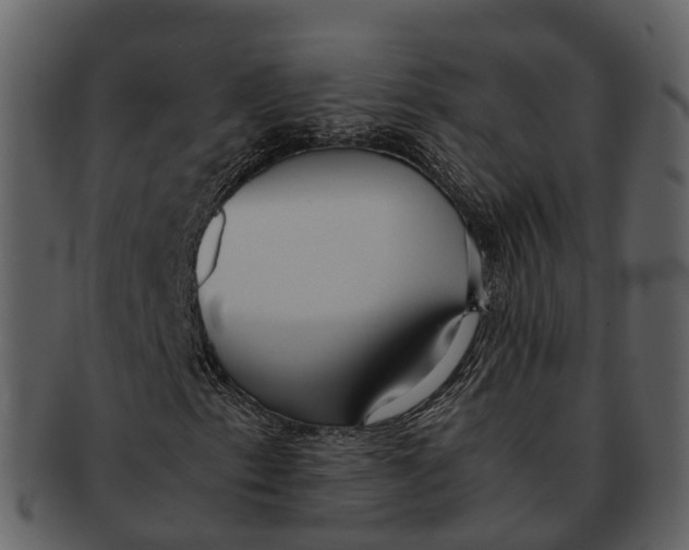 X0000092331153200710051309