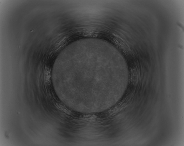 X0000092331154200710051309