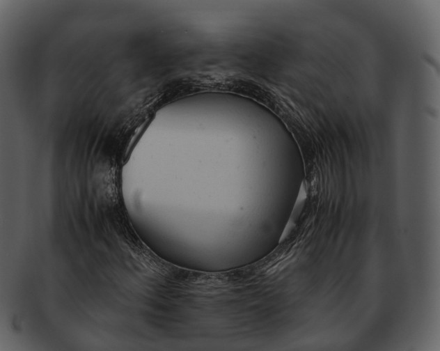X0000092331156200710051309