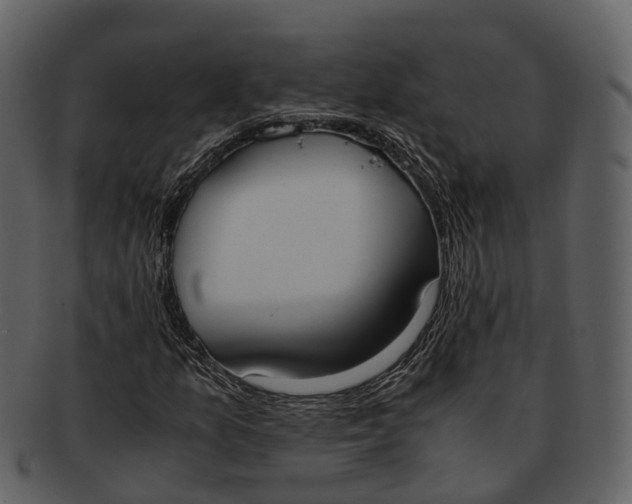 X0000092331157200710051309