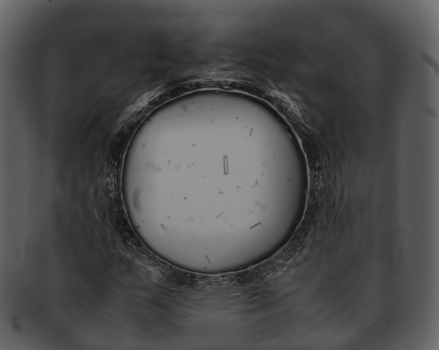 X0000092331159200710051309