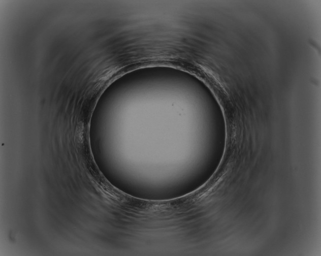 X0000092331161200710051309