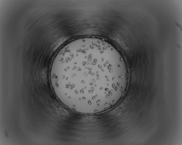 X0000092331162200710051309