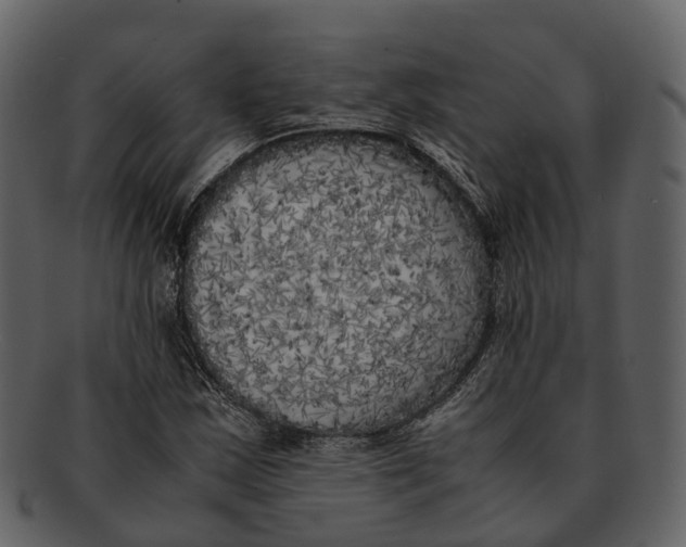 X0000092331163200710051309
