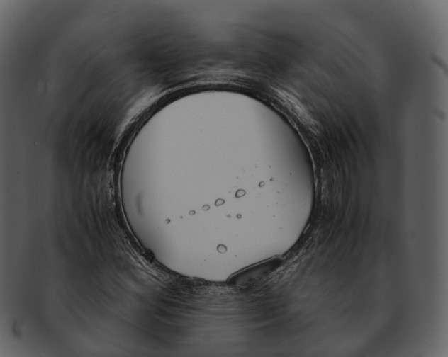 X0000092331164200710051309