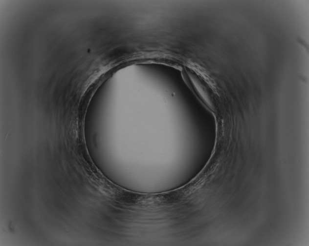 X0000092331165200710051309