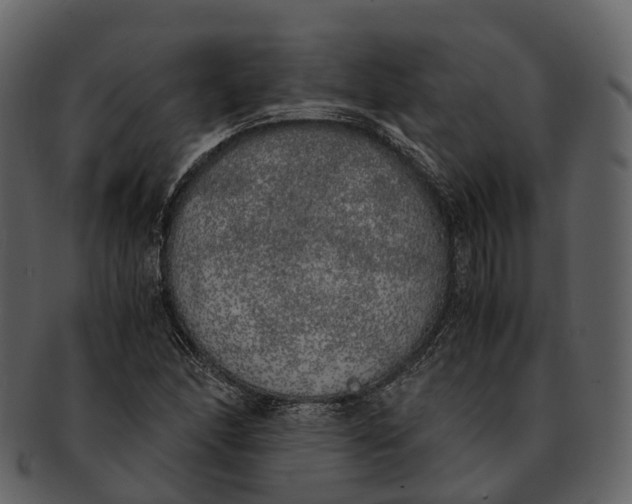 X0000092331166200710051309