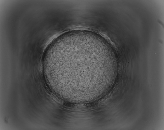 X0000092331167200710051309