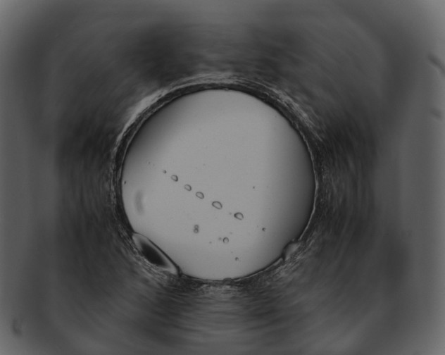 X0000092331168200710051309