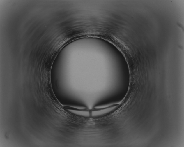 X0000092331169200710051309