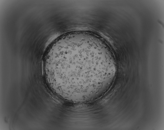 X0000092331171200710051309