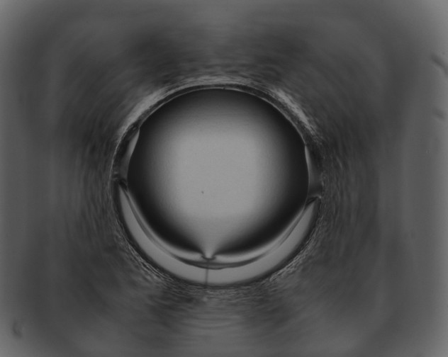 X0000092331173200710051309