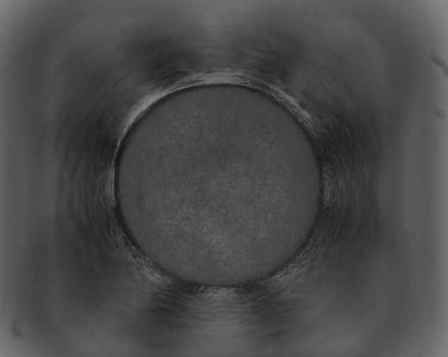 X0000092331174200710051309
