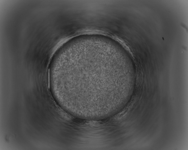 X0000092331175200710051309