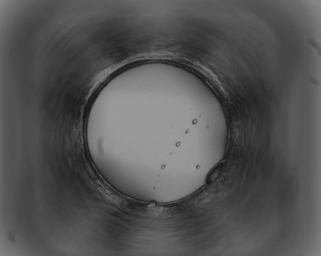 X0000092331176200710051309